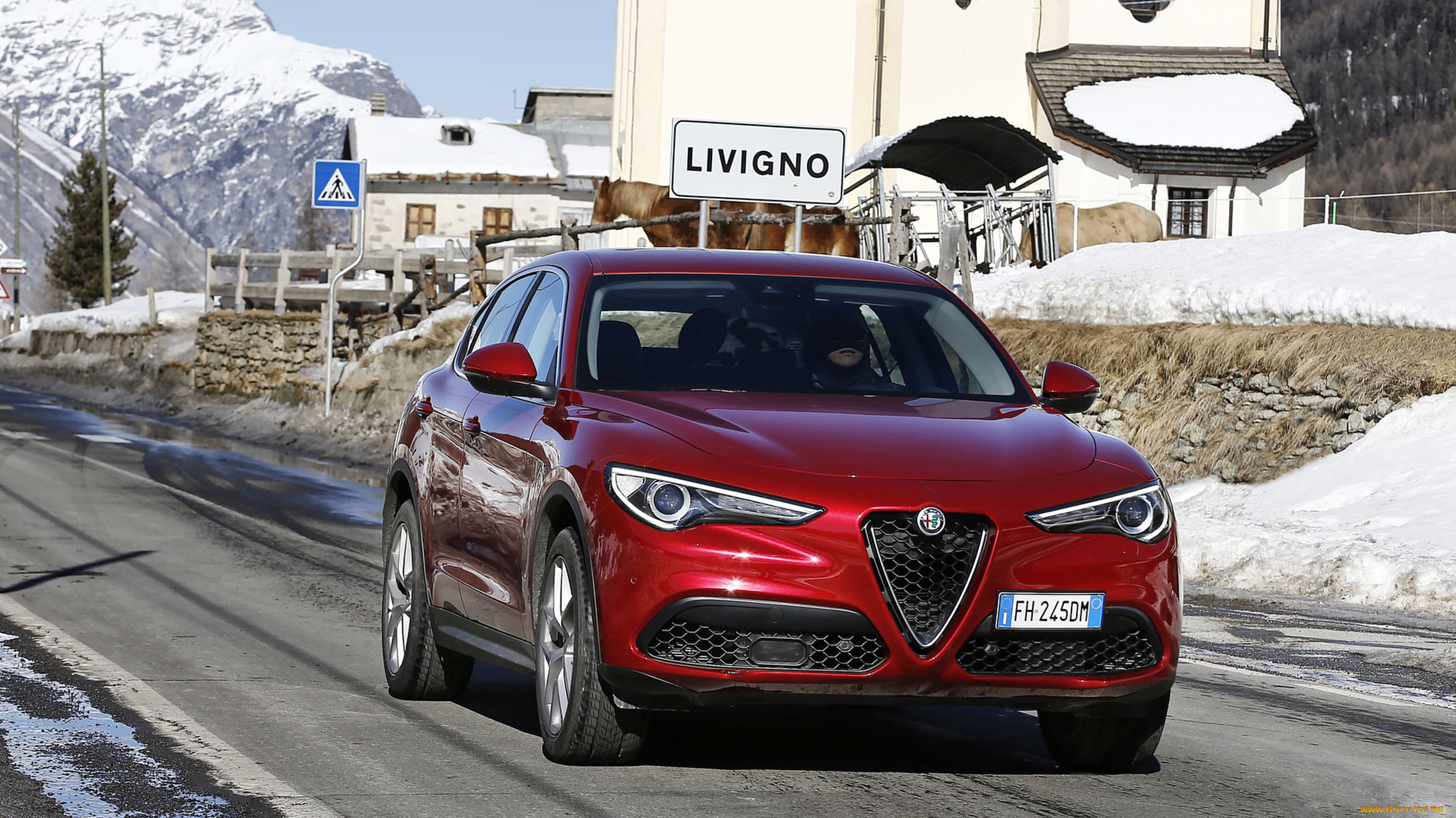 alfa romeo stelvio 2018, , alfa romeo, , , 2018, stelvio, alfa, romeo